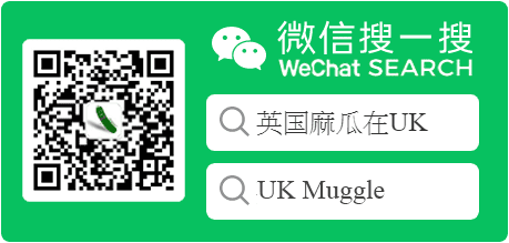 WeChat Search
